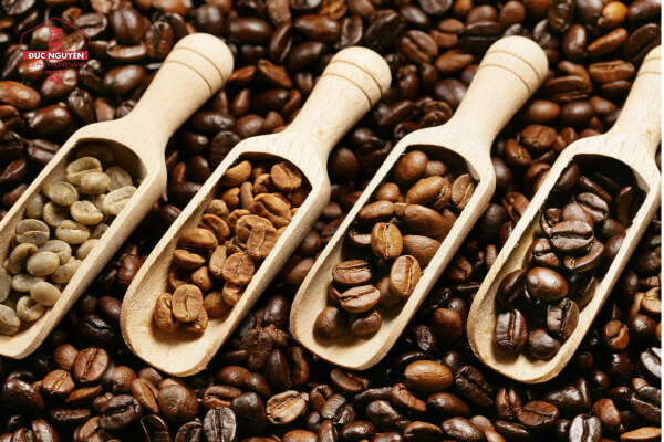 Các chủng loại hạt cà phê