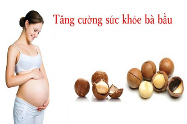 Hạt macca có nhiều lợi ích với sức khỏe bà bầu và thai nhi.