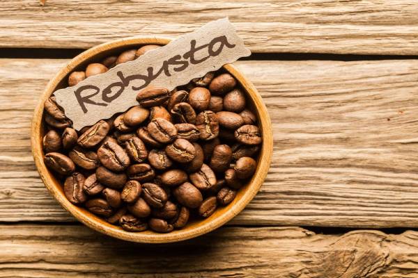 Cà phê nguyên chất Robusta có gì đặc biệt? 