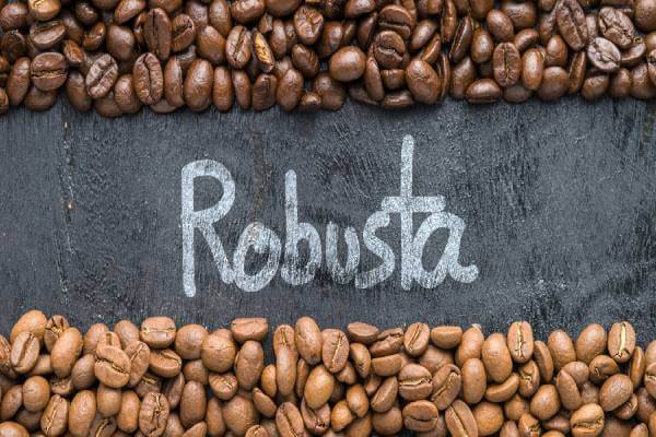 Những công dụng tuyệt vời của hạt cà phê nguyên chất Robusta